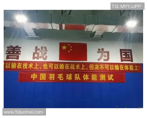 上海羽毛球队整体压制的深度解析与战术揭秘